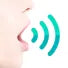 Voice System