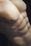 REALING - Carter 82cm/2ft8 Male Torso Silicone Head Torso