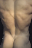 REALING - Owen 82cm/2ft8 Male Silicone Head Torso